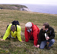 newfoundland